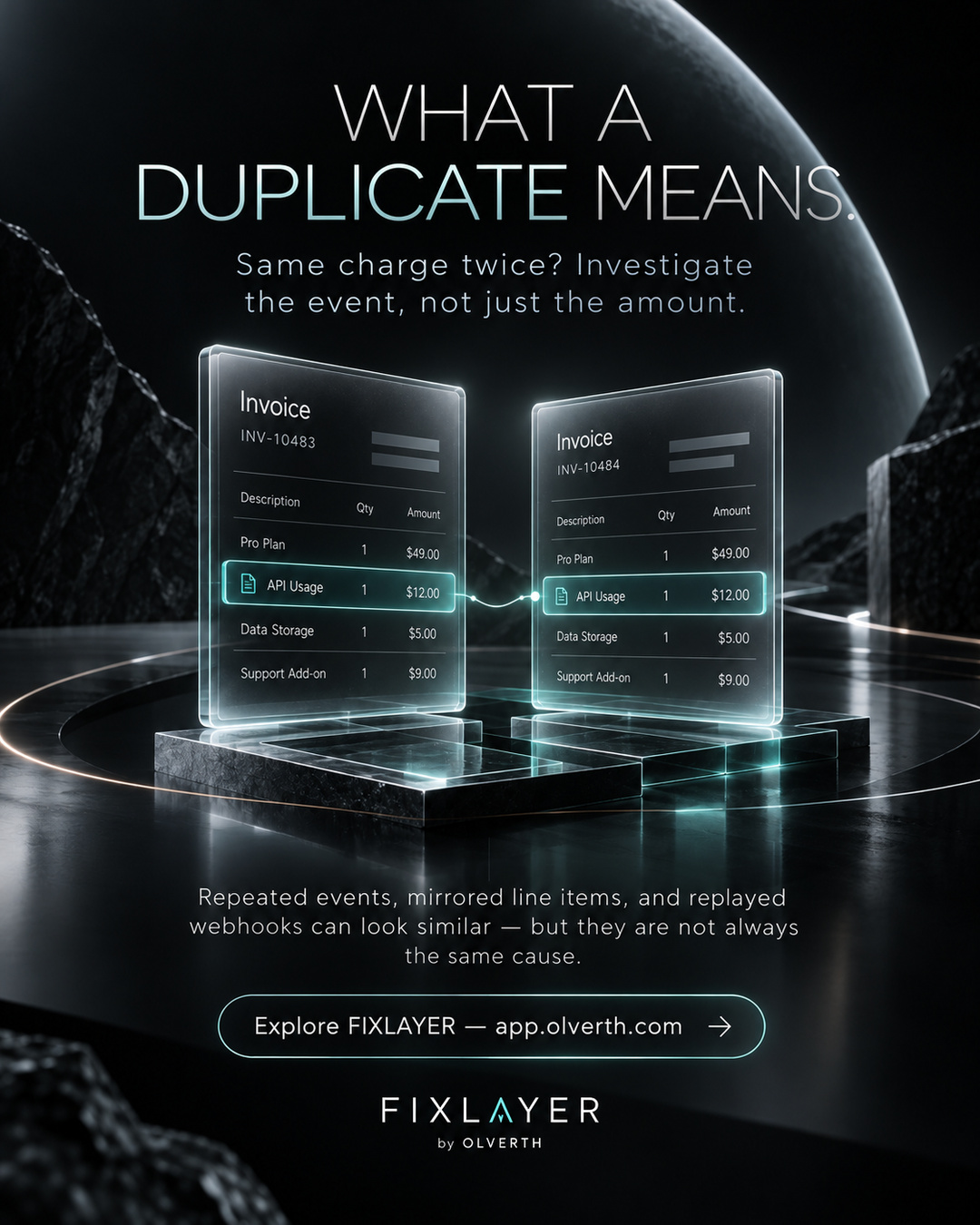 What a duplicate means.